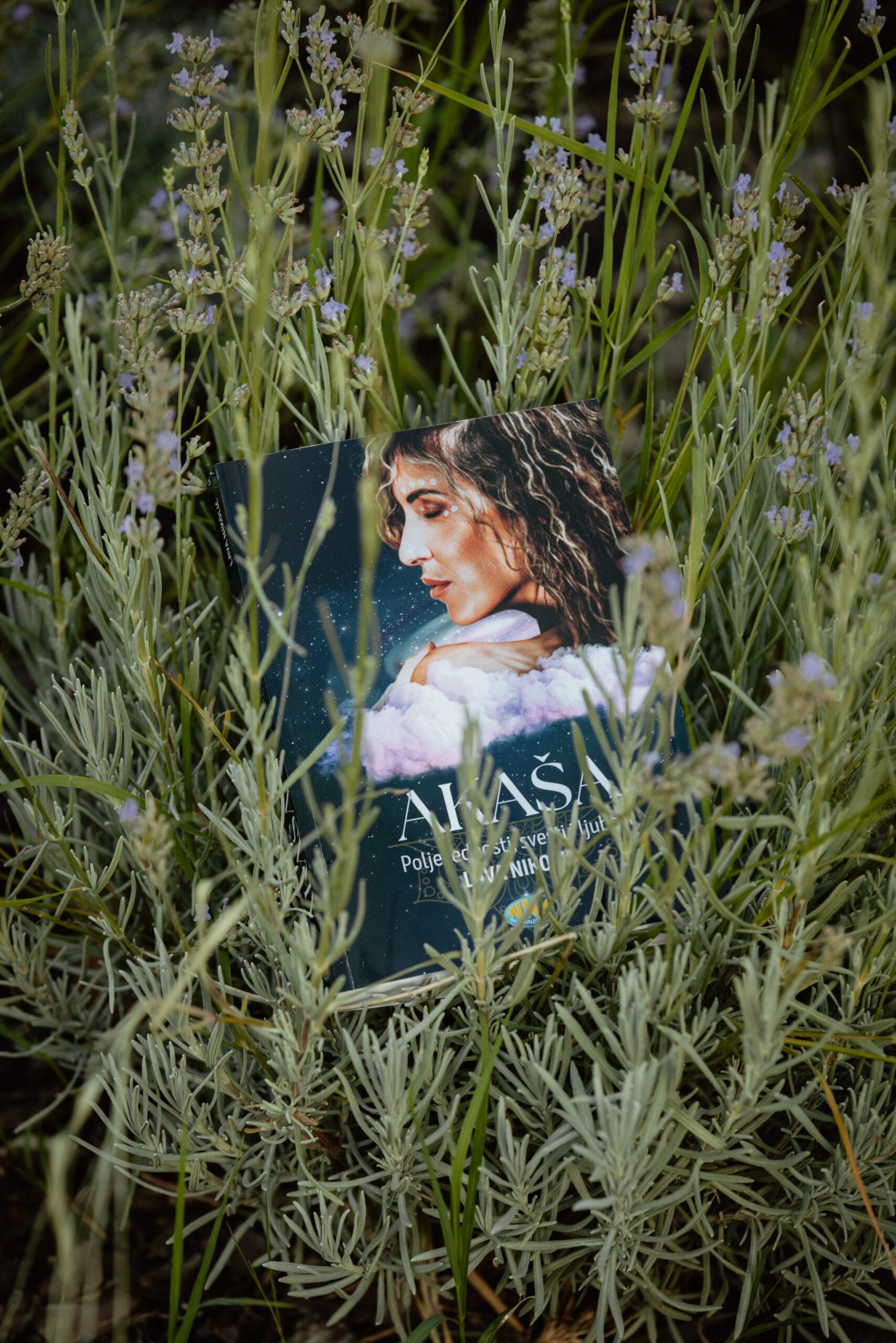 Knjiga akaša u travi