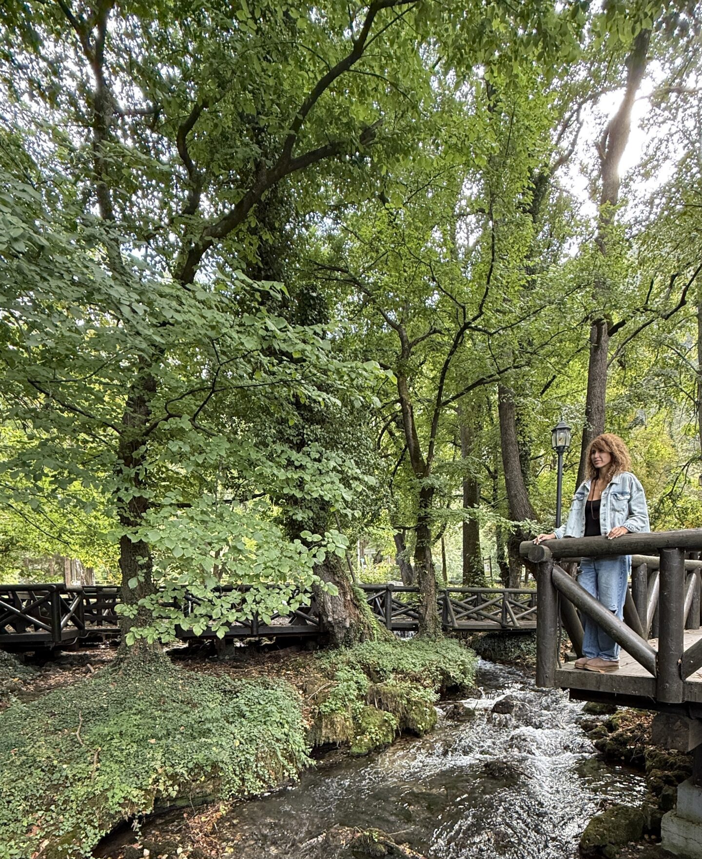 Lava na mostu koji se nalazi iznad reke u šumi